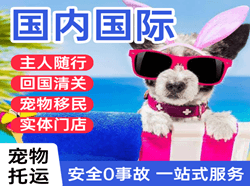 舟山普陀山航空运输国际宠物托运 【国